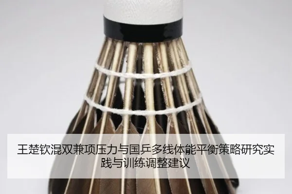 wang-chu-qin-hun-shuang-jian-xiang-ya-li-yu-guo-ping-duo-xian-ti-neng-ping-heng-ce-lve-yan-jiu-shi-jian-yu-xun-lian-2-871.jpg